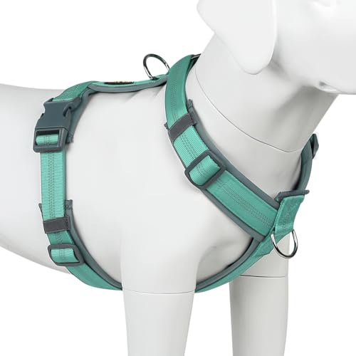 Plutus Pet No Pull Dog Harness, Adjustable Nylon Harness with Soft Padding, Reflective and Heavy Duty Dog Harness for Small, Medium, Large Dogs(Teal, S) - color: Teal, size: S