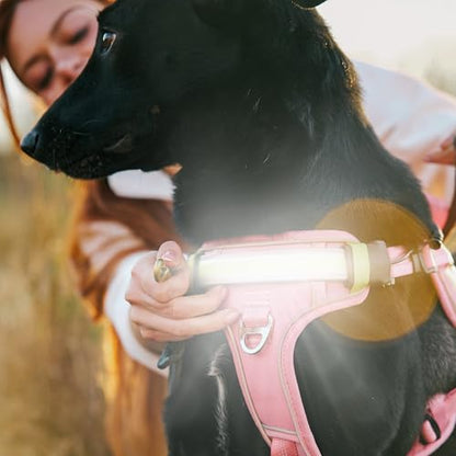 Lumi One LED Dog Harness for Night Visibility and Safety, Patent Pending – High-Visibility Light-Up Dog Vest with 1000 Lumen LED, Rechargeable Battery, Adjustable Fit, Reflective Trim (Pink, Large) - color: Pink, size: Large