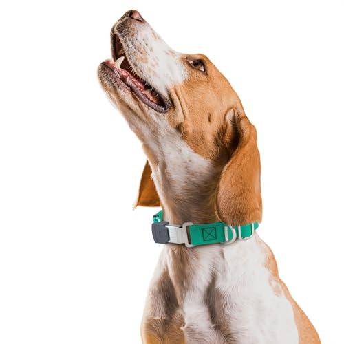 Biothane Waterproof Durable Dog Collar with Herm Sprenger - Quick Release ClicLock Buckle - Fits Medium and Large Dogs - Made in USA (Teal, W 1" x L 15"-25") - color: Teal, size: W 1" x L 15"-25"