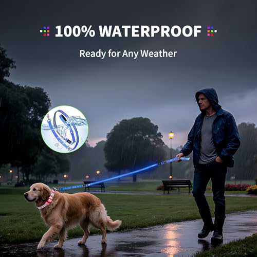 Night Walking LED Dog Leash - 6FT Reflective & Waterproof Light Up Safety Leashes for Dogs - USB Rechargeable, Blue - color: Blue(Fiber optic version)