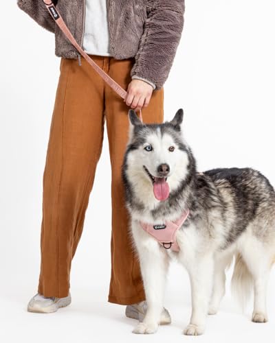 Fei & Eve Classic Dog Leash - 4FT, Dual Padded Handles, 360° Swivel Hook, Heavy Duty 210D Nylon - No-Pull Design with Traffic Control Handle - for Small/Medium/Large Dogs, Blush - color: Blush, size: 4FT