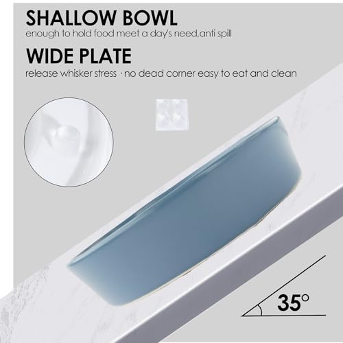 Ceramic Slow Feeder Dog Bowl for Small Dogs & Cats, 6 Inch Puzzle Pet Food Dish, Non-Slip Heavy Design, Helps Reduce Fast Eating, Bloating & Indigestion, Dishwasher Safe (Deep Ocean Blue) - color: Deep Ocean Blue