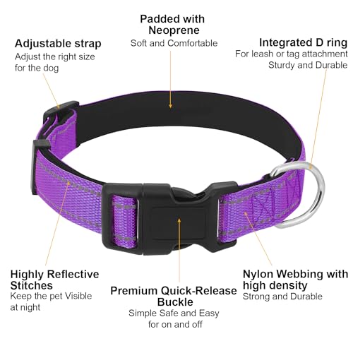 Dog Collars Adjustable for Small Dogs,Heavy Duty Waterproof Dog Collar with Quick Release Buckle,Girl Boy Female Male Reflective Nylon Dog Collar with Soft Neoprene Padded,S,Purple - color: Purple, size: Small