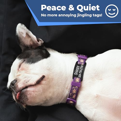 GoTags Slide-On Pet ID Tags, Personalized Dog and Cat Collar Tags, Silent, No Noise Tags Made of Stainless Steel, Custom Engraved