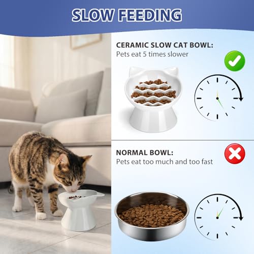 Ceramic Slow Feeder Cat Bowl, 2 Cups Tilted Elevated Cat Slow Feeder Bowl for Dry and Wet Food, Honeycomb Design for Preventing Vomiting & Bloating (White-Cute Kitten) - color: White-Cute kitten