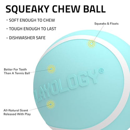 Playology Dog Toys | Squeaky Chew Ball - Bouncy Durable Floating Fetch Ball for Dogs | Medium Peanut Butter Scented Toy - Easy to Clean and Made from Non Toxic Materials - size: Medium, style: Peanut Butter
