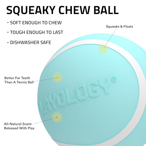 Playology Dog Toys | Squeaky Chew Ball - Bouncy Durable Floating Fetch Ball for Dogs | Jumbo Peanut Butter Scented Toy - Easy to Clean and Made from Non Toxic Materials - size: Jumbo, style: Peanut Butter