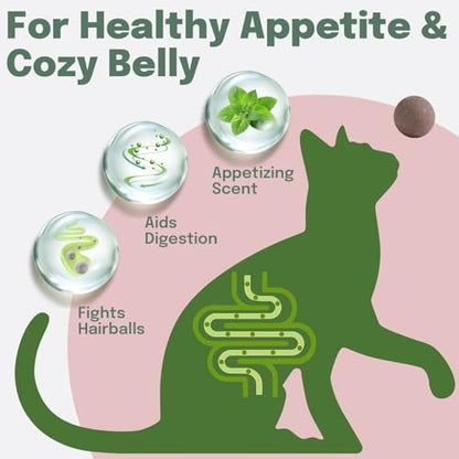 Cat Nip Balls, 4 Catnip Balls and 2 Gall Fruit Balls, Catnip Licking Ball Toys for Indoor Cats