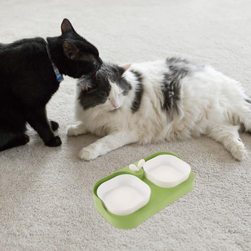HEMOTON Cat and Dog Feeding Bowl Set Nonslip Plastic Pet Food and Water Bowls for Cats and Puppies Spill-Resistant Feeder for Home Use