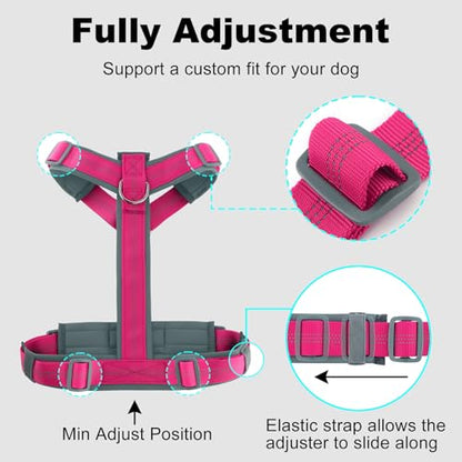 Plutus Pet No Pull Dog Harness, Adjustable Nylon Harness with Soft Padding, Reflective and Heavy Duty Dog Harness for Small, Medium, Large Dogs(Hot Pink, XS) - color: Hot Pink, size: XS