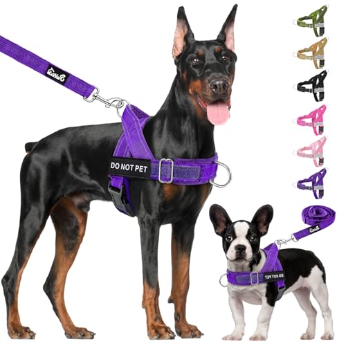 Lukovee No Pull Dog Harness and Leash Set - Heavy Duty Dog Vest with Soft Velvet Padding for Medium Large Dogs, Adjustable Reflective Tactical Harness with 2 Control Handles & Front Clip (M, PU) - color: Purple, size: Medium