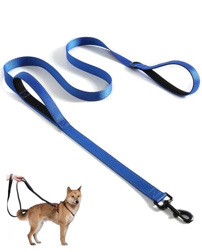 Aeclleca Soft Handle Reflective Black Dog Leash with 2 Padded Handles, 5FT Heavy Duty Pet Lead for Medium & Large Dogs, Comfortable Anti-Slip Grip & Night Safety Design (Blue) - color: Blue
