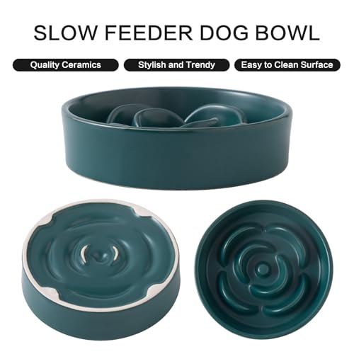 6'' Ceramic Slow Feeder Dog Bowls - Petal Shape Modern Dog Food Dish for Cats and Small Breed Dogs, Puzzle Maze Bowl to Slow Down Eating, Anti-Gulping, Dishwasher & Microwave Safe, Green - color: Green, size: 6 inch