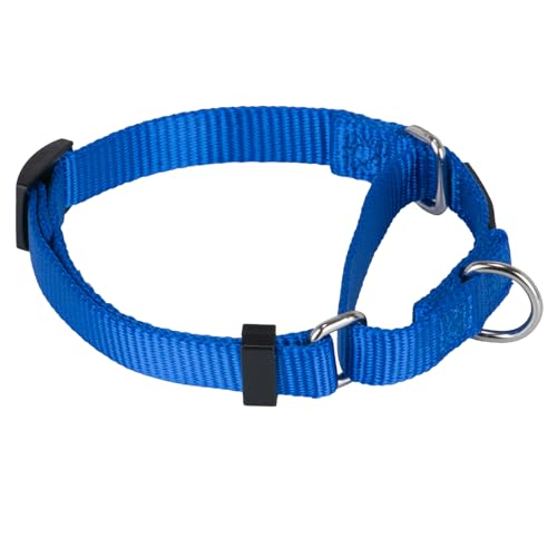 Martingale Collar for Dogs Small Blue |Escape - Proof Heavy Duty Nylon Durable No Buckle, Ideal for Training & Daily Walks - color: Bright Blue, size: Small