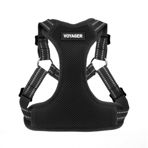Best Pet Supplies Voyager Adjustable Step-in Flex Breathable Mesh Dog Harness for Small Medium Large Dogs (Black), M - color: Harness (Black), size: M
