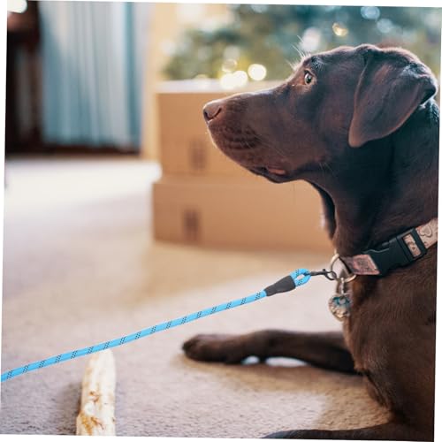Nylon Reflective Dog Leash with Comfort Handle Heavy Duty Traction Rope for Small Large Dogs Training Safe Night Walking and Running