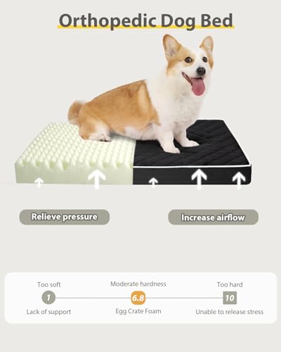 NUPIDA Orthopedic Dog Beds Large Sized Dog Waterproof Pet Kennel Pad with Removable Washable Cover and Non-Slip Bottom, 35x23 Inch, Black - color: Black, size: 35.0"L x 22.0"W x 3.0"Th
