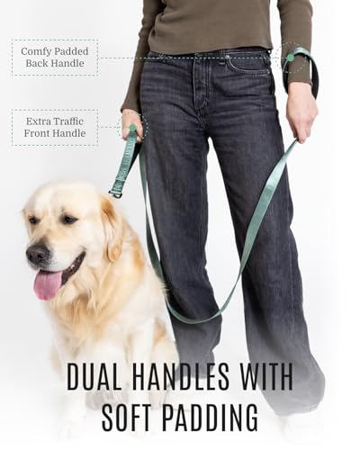 Fei & Eve Classic Dog Leash - 6FT, Dual Padded Handles, 360° Swivel Hook, Heavy Duty 210D Nylon - No-Pull Design with Traffic Control Handle - for Small/Medium/Large Dogs, Green - color: Glacier Green, size: 6FT