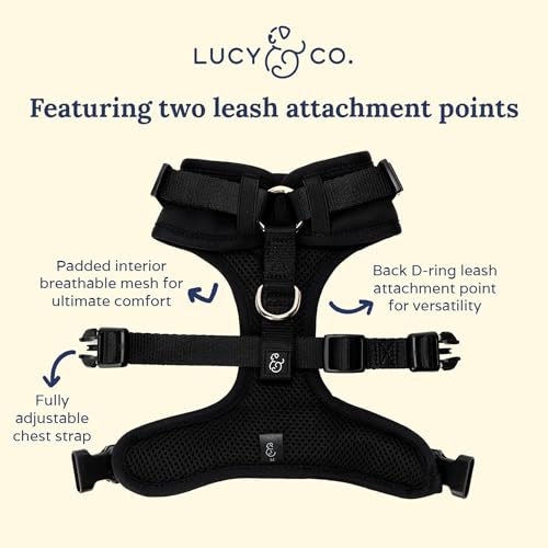 Lucy & Co. The Midnight No-Pull Dog Harness - Size Small - Vest to Stop Pulling & Walk Easy - Comfortable Leash Training Product w/Adjustable Chest & Neck Straps - color: The Midnight No-Pull Harness, size: Small