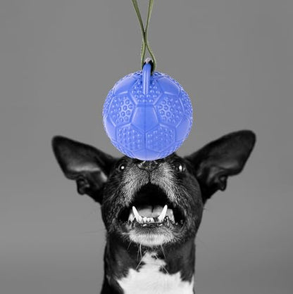 Fuzzl Eco Rubber Chuck & Treat Soccer Ball - Blue - Long Lasting Dog Chew Toys for Aggressive Chewers Strong Dog Toy for Dogs Durable Puppy Toys - style: Football Blue