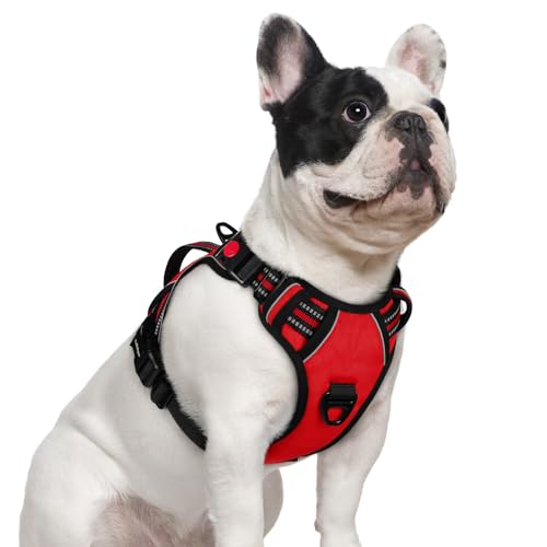 rabbitgoo Dog Harness Small Sized Dog, No Pull Pet Harness with Soft Padded Handle, Adjustable Reflective Vest with 3 Buckles, Easy Walking Harness with 2 Leash Clips, Red, S - color: Red, size: Small