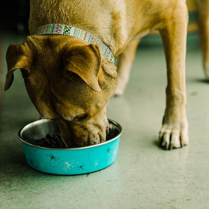 Loving Pets Bella Dog Bowls- Stainless Steel Dog & Cat Bowls - Spill Proof Dog Food Bowl, Cat Bowl, Puppy Essentials & Pet Supplies Great for Home & Travel (Small 10-20 lbs, Dragonfly) - color: Dragonfly, size: Small (10-20lbs)