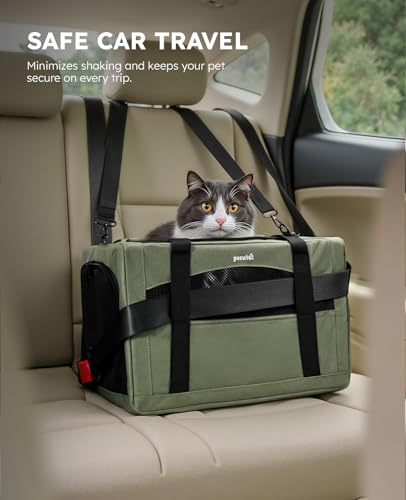 Pecute Cat Carrier Stable, Pet Carrier with Hidden Anxiety Relief Partition & Stable Steel Frame, Safe Cat Carrier for Car Travel, Soft-Sided Dog/Cat Carrier Bag for Pets Up to 11lbs, Green - color: Green Regular