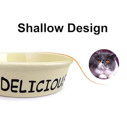 TTcat Ceramic Cat Feeder, 5.1in Shallow Design Food Bowl, Small Pet Dishes for Cats, Kitten, Dishwasher Safe - color: Cartoon Bowl