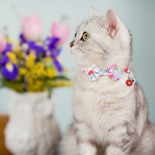 SCENEREAL Spring Cat Collar Breakaway with Bells, 2 Pack Cute Flower Pet Collar with Removable Bow Tie and Bandana, Adjustable Safety Buckle with Daisy Pendants for Girl Cats Kitten - color: Bandanas & Bow (Floral-White)