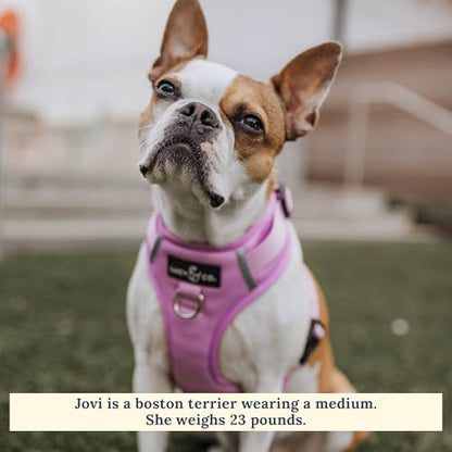 Lucy & Co. The Bouquet No-Pull Dog Harness - Size Small - Vest to Stop Pulling & Walk Easy - Comfortable Leash Training Product w/Adjustable Chest & Neck Straps - color: The Buquet No-Pull Harness, size: Small