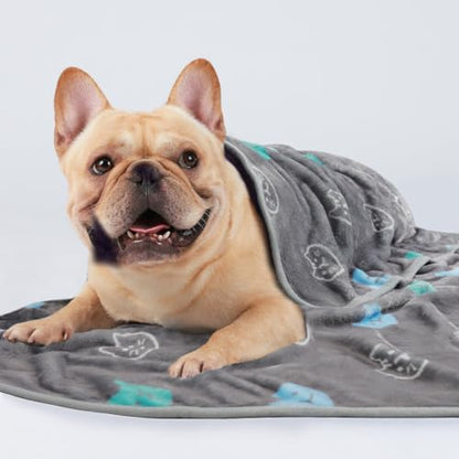1 Pack 3 Blankets Super Soft Fluffy Premium Cute Cat Pattern Pet Blanket Flannel Throw for Dog Puppy Kitten Blue/Cyan/Grey Medium(30x20 inch) - color: Blue/Cyan/Grey, size: 30x20 inch (Pack of 3)