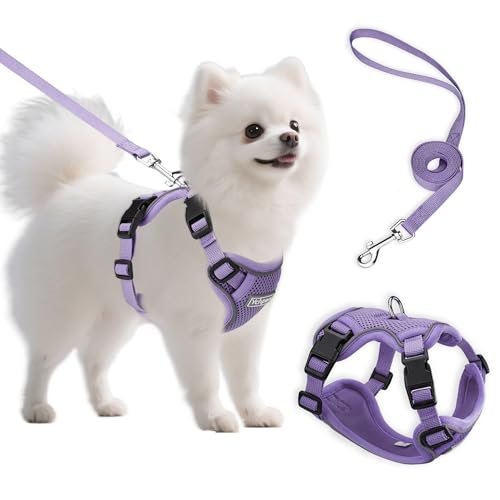 Small Dog Harness and Leash Set, Reflective Soft Breathable Mesh Vest, 3 Buckles, Adjustable Neck and Chest,Step in Dog Harness for Walking, Running, Training, Purple, S - color: Purple, size: Small