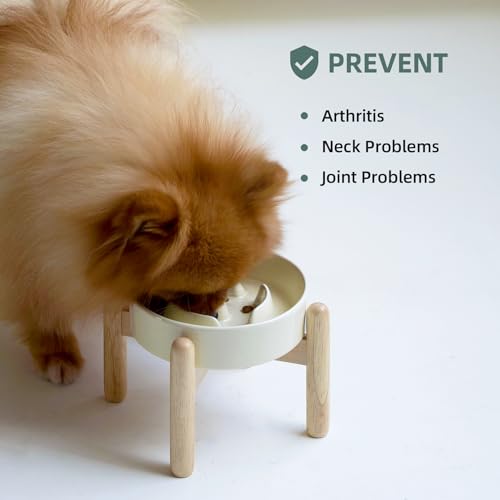 Havniva 6.1” Raised Slow Feeder Dog Bowls, 0.9 Cups Ceramic Dog Bowl Slow Feeding for Small Breed, Elevated Puzzle Dog Food Bowl with Wooden Stand Non-Slip Anti-Gulping & Anti-Choking - color: 1 x Light Yellow+Stand-A, size: 6.1inch