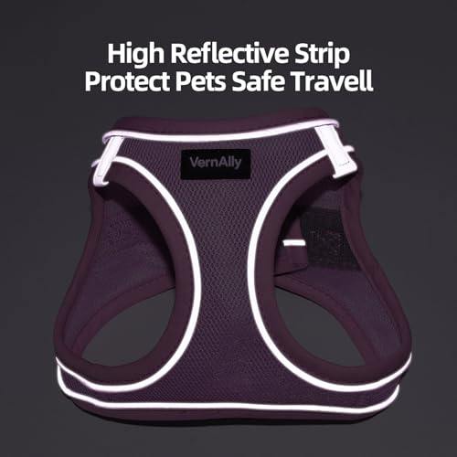 Sparkly Dog Harness Small Sized and Leash Set for Small Dogs Cats,Purple XXS Puppy Harness, Step in Soft Dog Reflective Vest, Breathable Mesh Pet Harness. (Purple, XXS) - color: Purple, size: XXS
