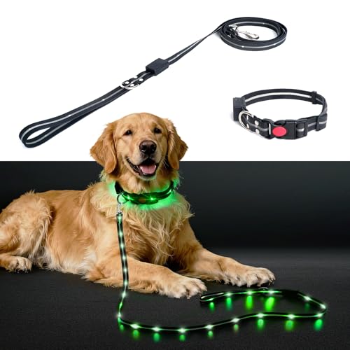 Waterproof LED Dog Leash + Collar,11Flashing Modes, Glow Collar for Dogs Set, Super Bright Reflective Leash for Small, Medium & Large Dogs USB-C Rechargeable, Light Up Dog Leash - 5FT