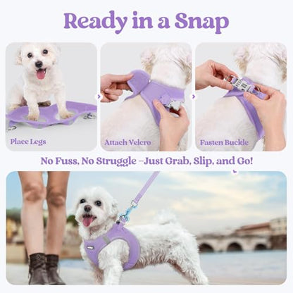 rabbitgoo Dog Harness Medium Sized and Leash Set, Step in Soft Light Puppy Vest, Breathable Mesh Pet Harness, Reflective for Safe Easy Walking, Light Purple XXL - color: Light Purple, size: Xxl (chest: 21.6 - 23.7")