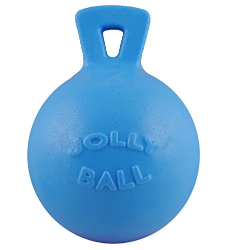 Jolly Pets Dog Tug-N-Toss Toy Ball, 6-Inch, Blueberry (406 BB), All Breed Sizes - color: Blueberry, size: Medium (6 in)