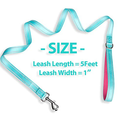 PHOEPET 5 Feet Dog Leash with Comfortable Padded Handle Easy Snap Clasp - Reflective Walking Lead for Large, Medium & Small Breed Dogs (Mint Green + Pink Base) - color: Mint Green + Pink Base