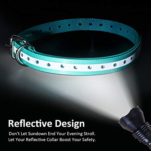 Replacement Collar Strap, Compatible with Petsafe,PATPET,Sportdog,Garmin,Dogtra,etc Most Training Collar/Fence Reciever, 3/4',Adjustable,Metal Buckled,Waterproof (Cyan Pack2) - color: Cyan