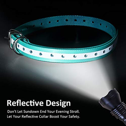 Replacement Collar Strap, Compatible with Petsafe,PATPET,Sportdog,Garmin,Dogtra,etc Most Training Collar/Fence Reciever, 3/4',Adjustable,Metal Buckled,Waterproof (Cyan Pack2) - color: Cyan