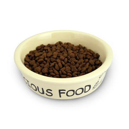 TTcat Ceramic Cat Feeder, 5.1in Shallow Design Food Bowl, Small Pet Dishes for Cats, Kitten, Dishwasher Safe - color: Cartoon Bowl