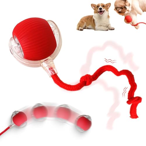 Interactive Rolling Dog Ball, 2025 Upgraded Version Automatic Rolling Ball Interactive Cat Toy Automatic Cat Toy Automatic Moving Dog Toy, 360° Intelligent (Red) - color: Red
