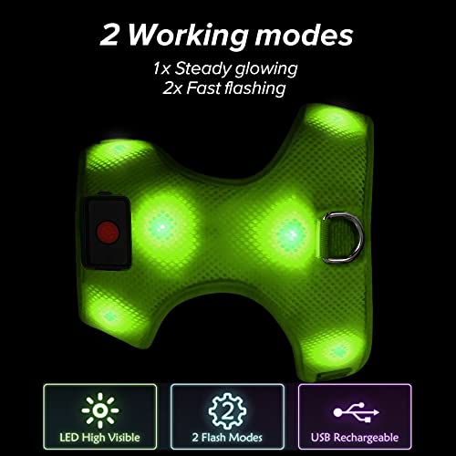 LED Dog Harness - Safety Light Up Dog Vest, No-Pull Dog Harness, Rechargeable Glowing Pet Harness for Dogs Nighttime Walking (Green, Medium) - color: Green, size: Medium