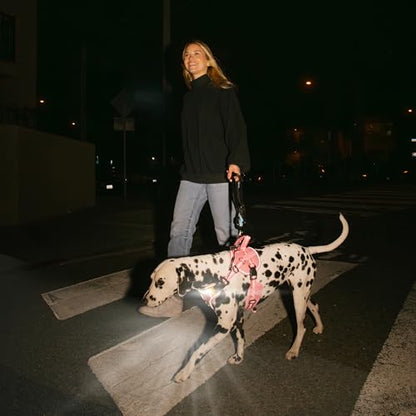 Lumi One LED Dog Harness for Night Visibility & Safety, Patent Pending, Rechargeable Adjustable Dog Harness, Durable Pet Vest, Reflective Pet Apparel, Light-Up Dog Vest (Pink, Extra Large) - color: Pink, size: Extra Large