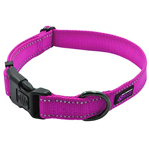 Max and Neo NEO Nylon Buckle Reflective Dog Collar - We Donate a Collar to a Dog Rescue for Every Collar Sold (Small, Pink) - color: Pink, size: Small