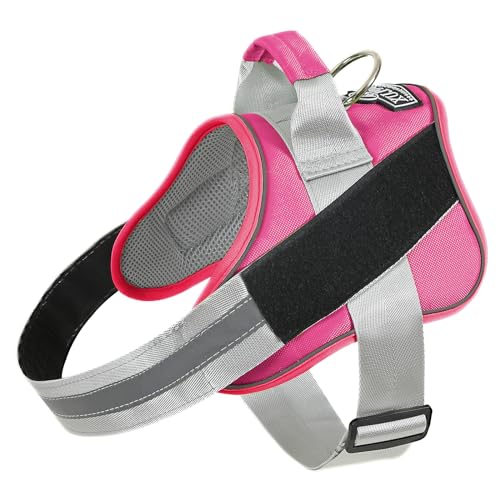 Dog Harness, No-Pull Reflective Dog Vest, Breathable Adjustable Pet Harness with Handle for Outdoor Walking - No More Pulling, Tugging or Choking (Fuchsia, X-Small (Pack of 1)) - color: Fuchsia, size: X-Small (Pack of 1)