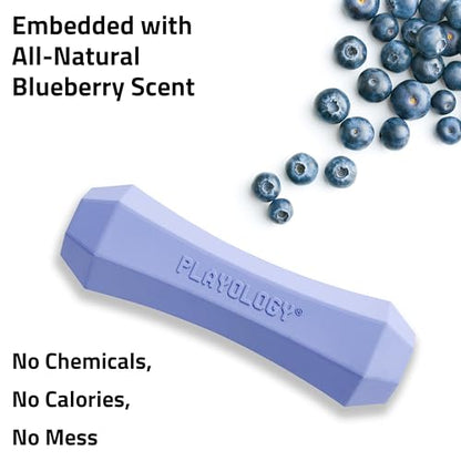 Playology Dog Toys | Squeaky Chew Stick for Dogs | Blueberry Scented Medium Fetch Toy | Squeaky Dog Chew Toy - size: Medium, style: Blueberry