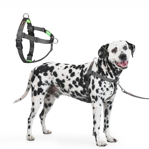 Freedom No Pull Dog Harness for Large Dogs, Easy Walker, Anti Pull with Two Stainless D-Rings, Comfortable, Sewn-in Instructions Tags for Easy Use (Black, XL) - color: Black, size: X-Large