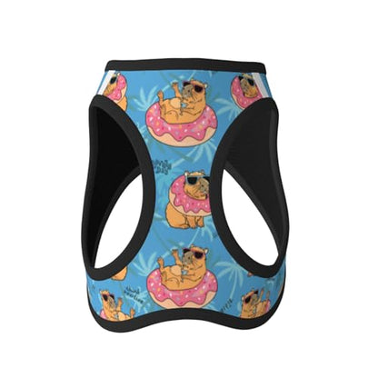 Funny Capybara Pet Harness Escape Proof Dog Harness Adjustable Mesh Padded Reflective Dog Vest Harness and Leash Set Large - color: Style 2, size: Large