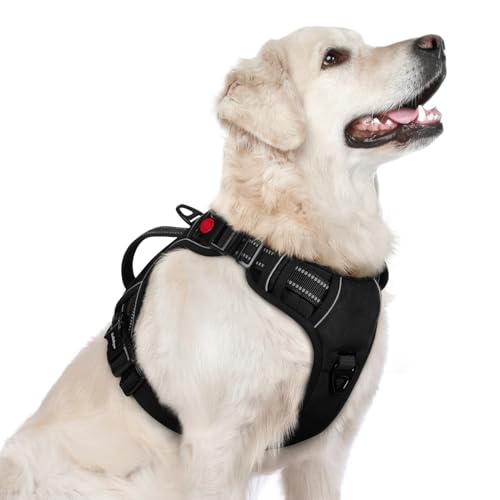 rabbitgoo Dog Harness for Large Dogs, No Pull Pet Harness with Soft Padded Handle, Adjustable Reflective Vest with 3 Buckles, Easy Walking Harness with 2 Leash Clips, Black, L - color: Black, size: Large